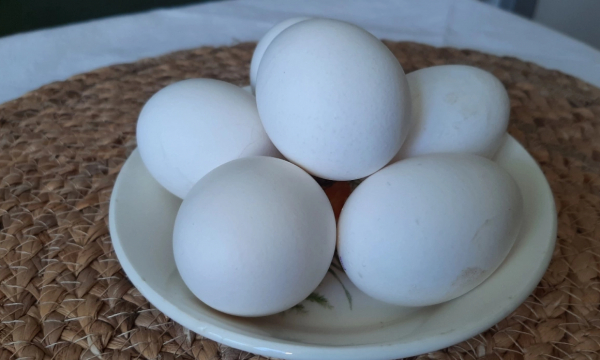 Почему нельзя класть яйца после варки в холодную воду. Запомните раз и навсегда